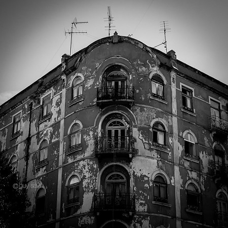 IMGP3985