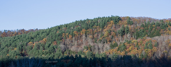 IMGP0158