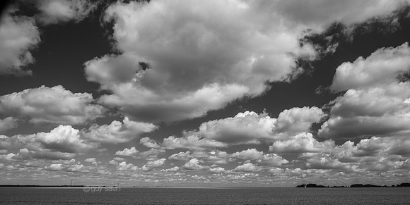 IMG_0054