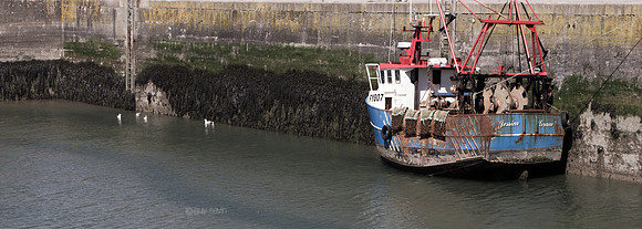IMGP7602