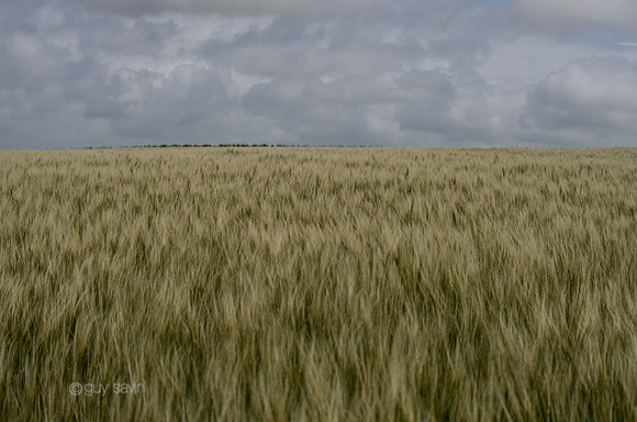 IMGP0536