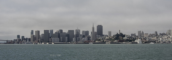 IMGP3949