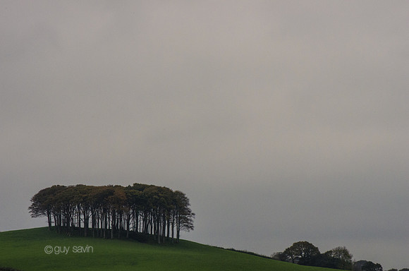 IMGP0323