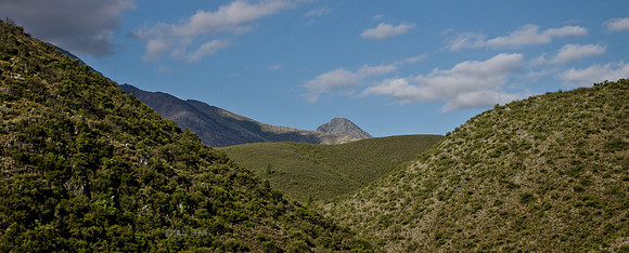 _IGP0660