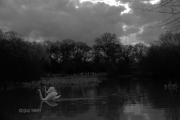 IMGP0368