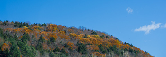 IMGP0265