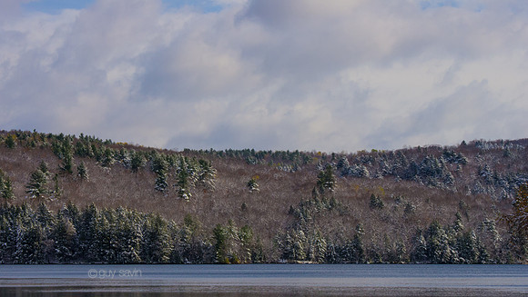IMGP0233