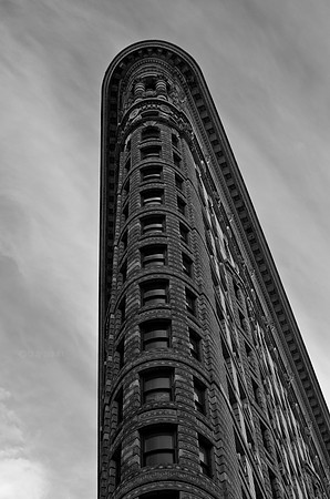 IMGP0282