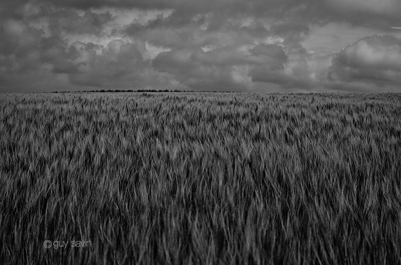 IMGP0536