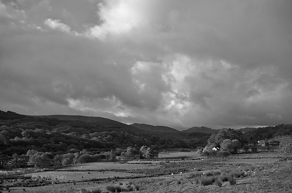 IMGP0860