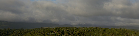 _IGP0545