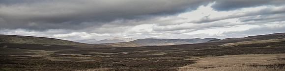 IMGP0796
