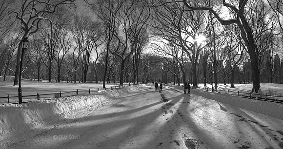 210111_0178-2