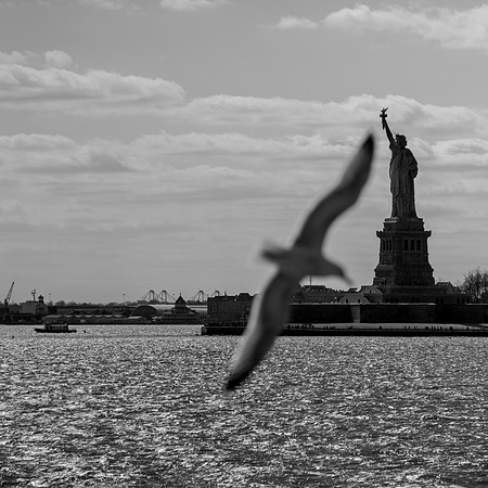 IMGP0177