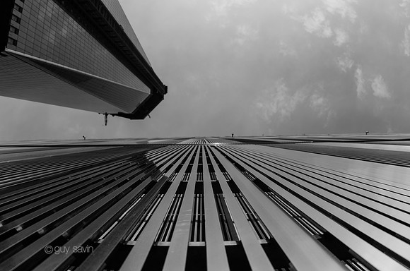 IMGP1468