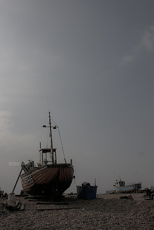 IMGP2643