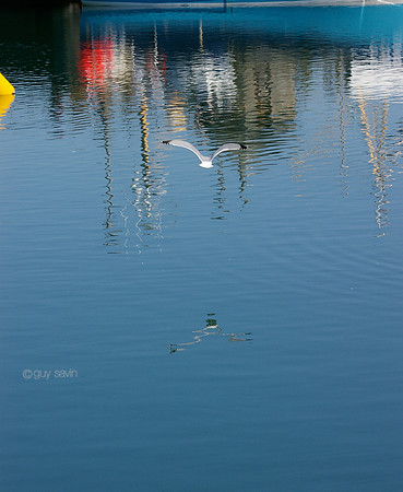 IMGP6401216