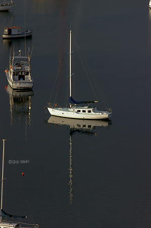 IMGP0377